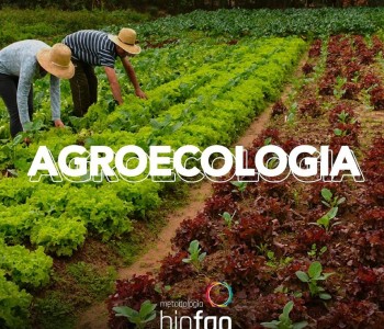 Agroecologia & Agricultura Orgânica